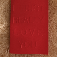 I JUST REALLY LOVE YOU ~ Greeting Card