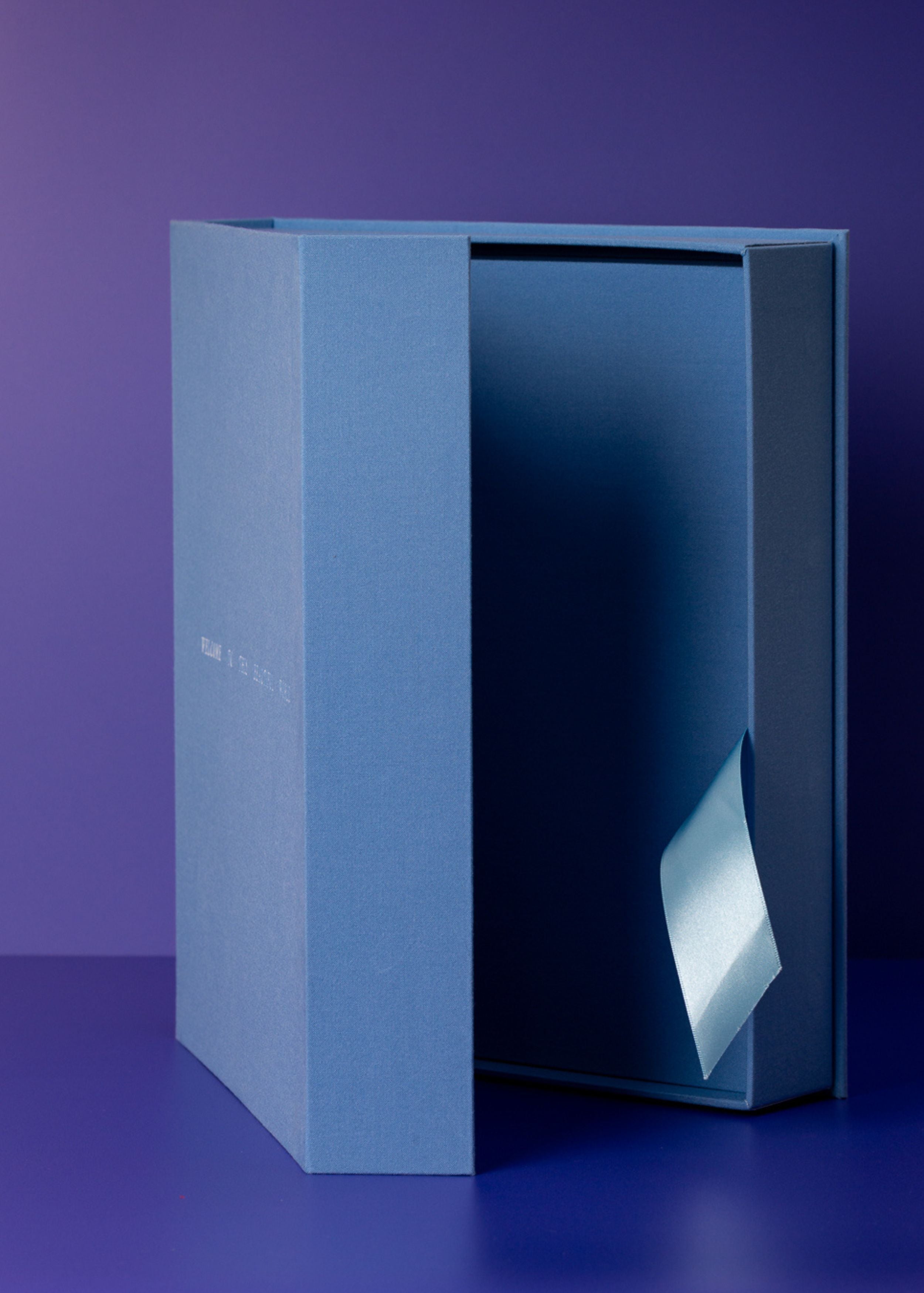 BABY Blue Photo Album – MEMS