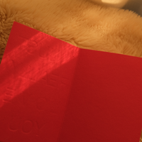 I JUST REALLY LOVE YOU ~ Greeting Card
