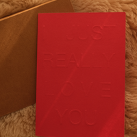 I JUST REALLY LOVE YOU ~ Greeting Card