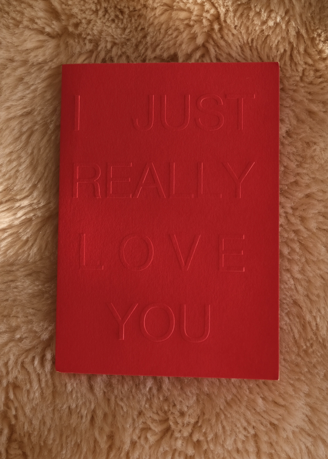 I JUST REALLY LOVE YOU ~ Greeting Card