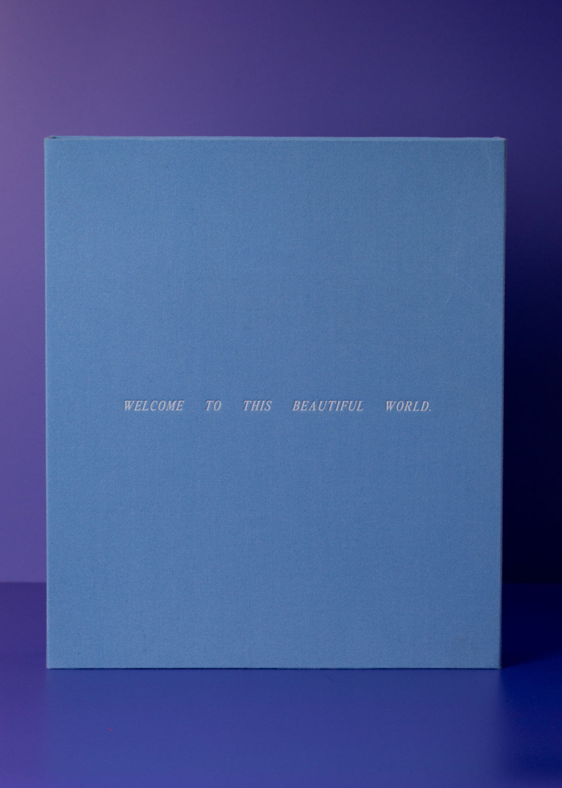BABY Blue Photo Album