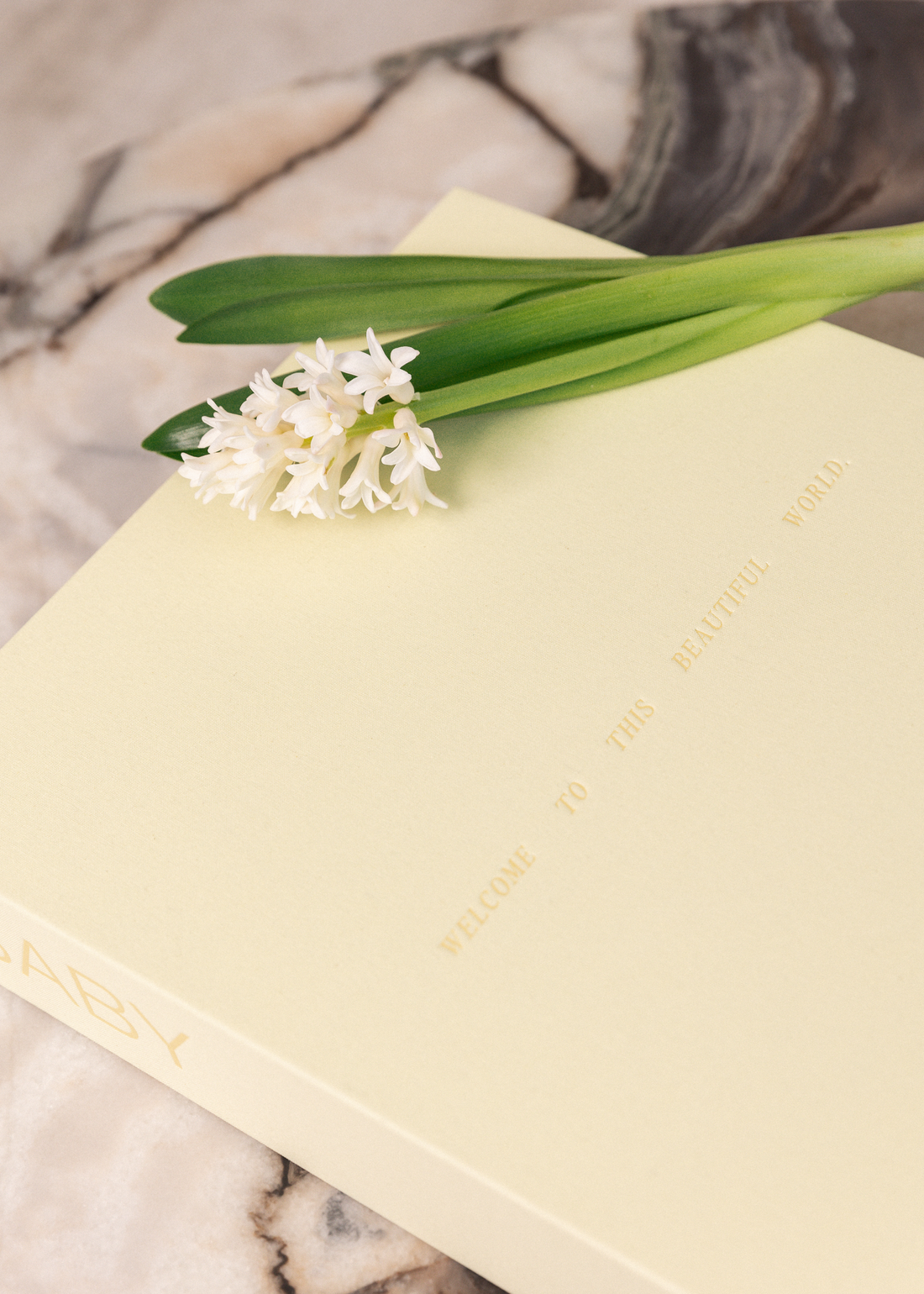 BABY Photo Album & Keepsake Box