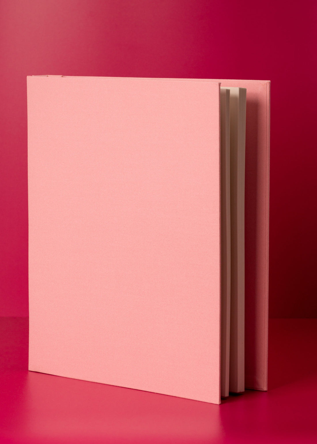 BABY Pink Photo Album