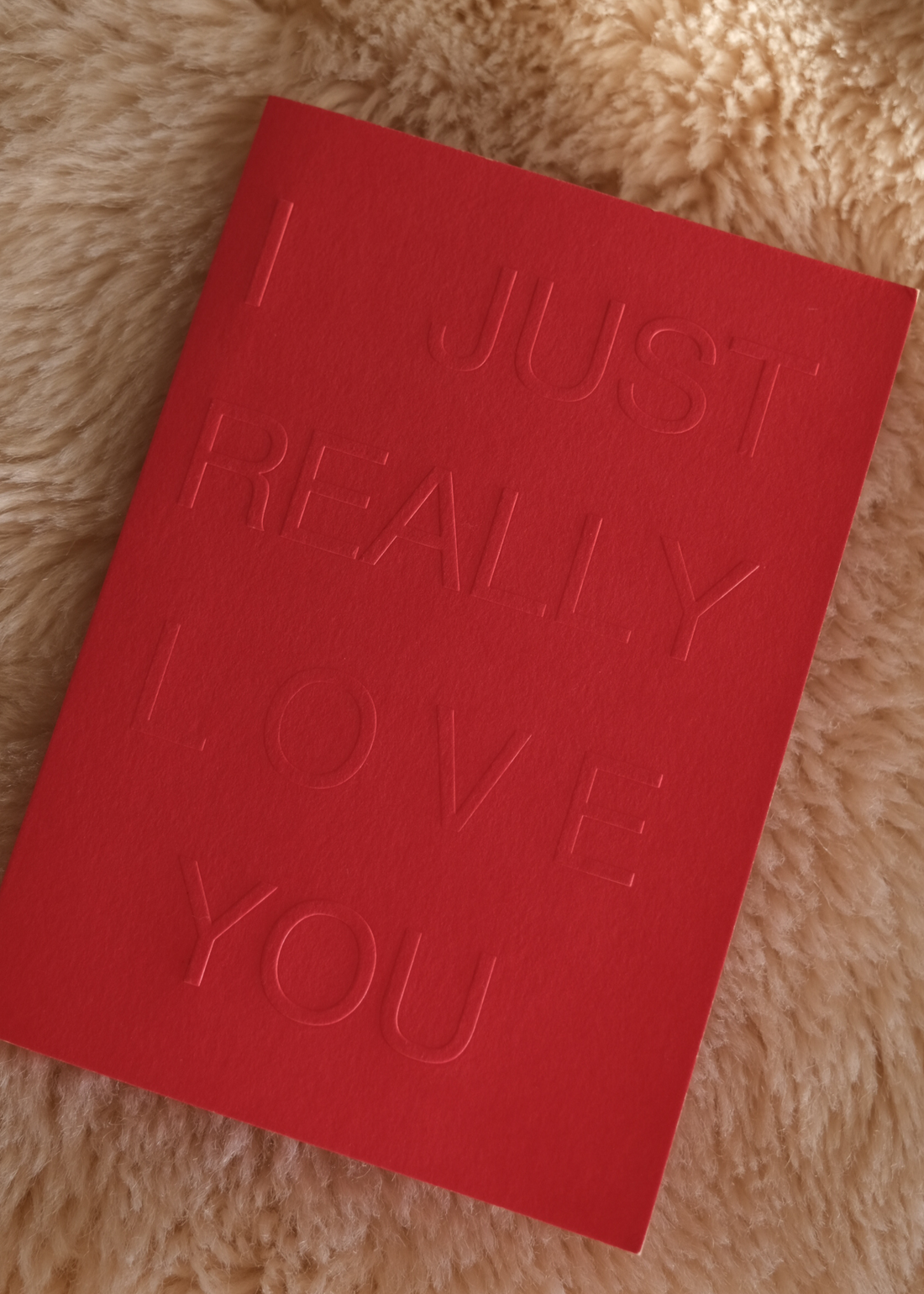 MARRIED BUNDLE ~ I Just Really Love You