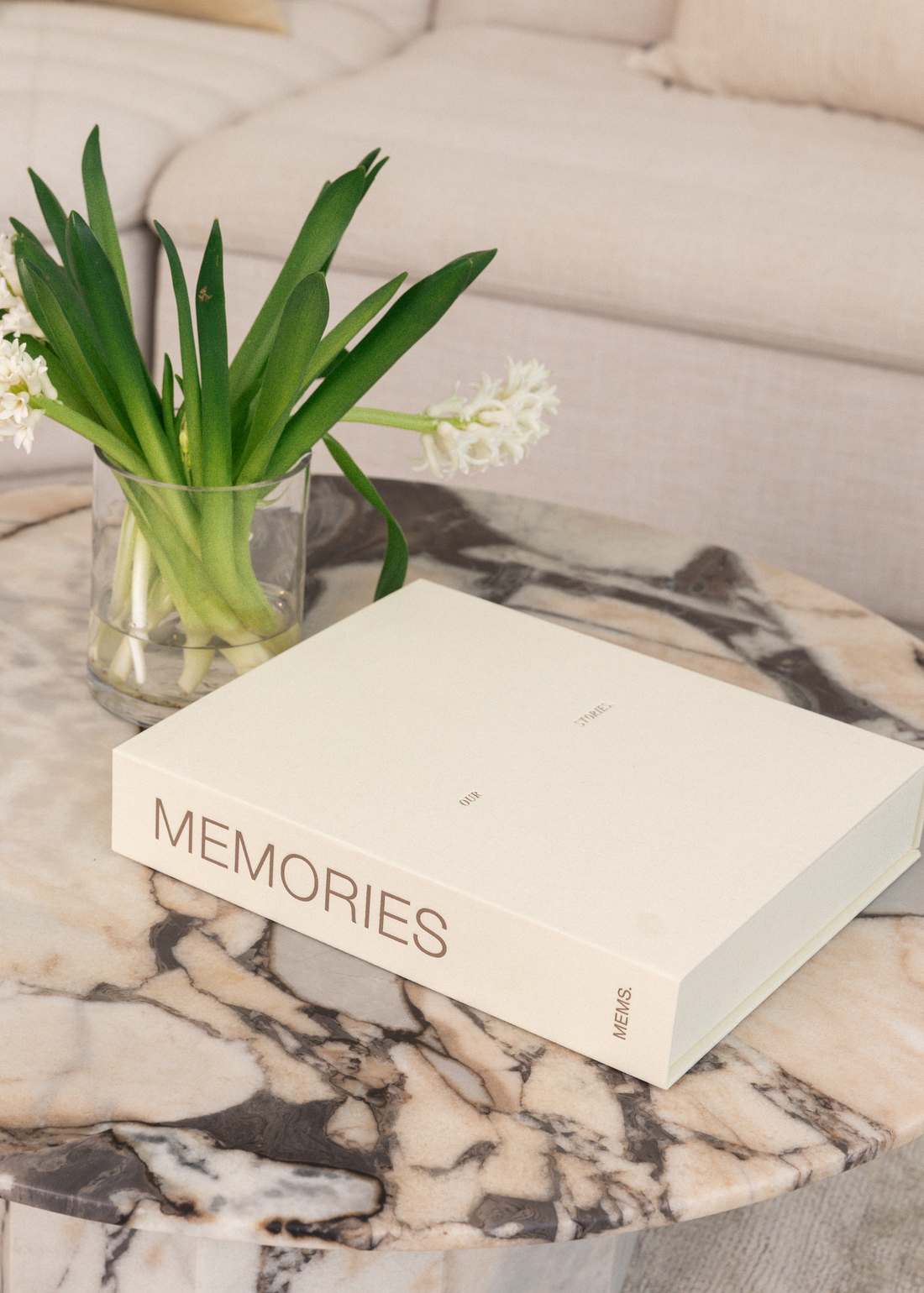 Memories ~    Photo Album