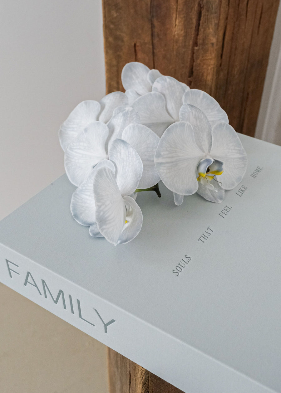 Family ~    Photo Album
