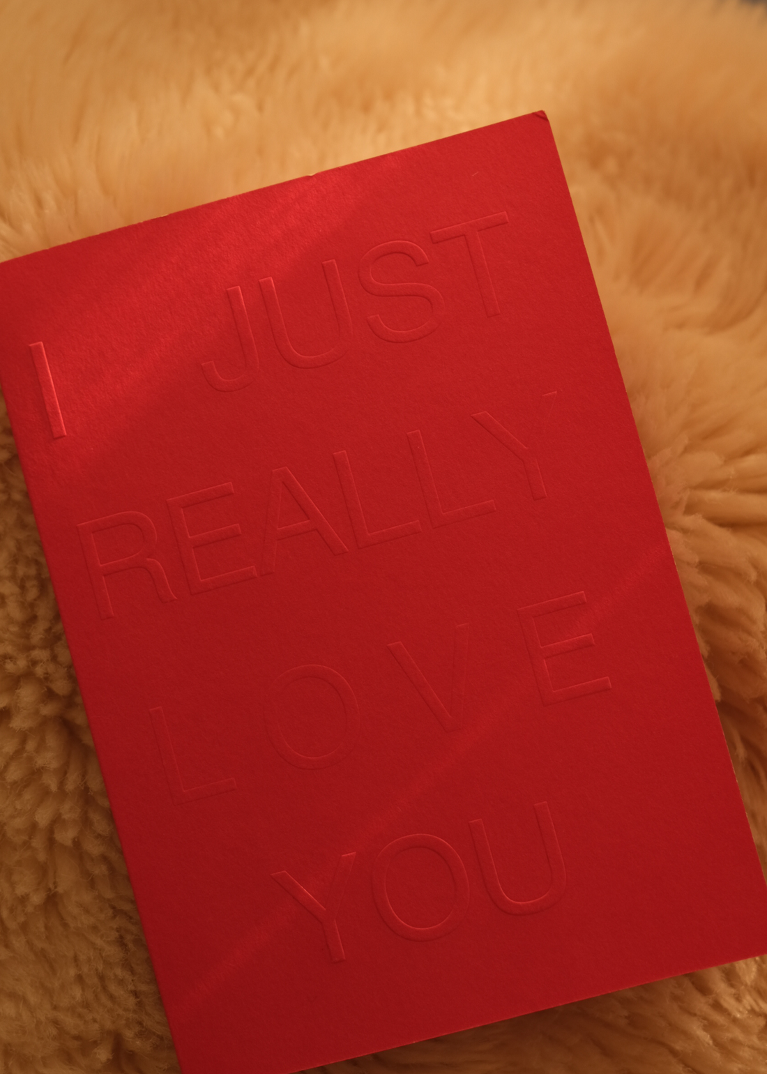 I JUST REALLY LOVE YOU ~ Greeting Card